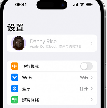 弓长岭appleID维修服务iPhone设置中Apple ID显示为灰色无法使用 