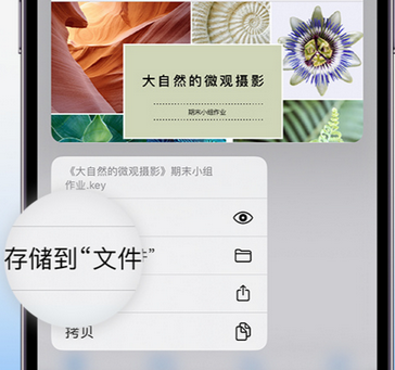 弓长岭apple维修中心分享iPhone文件应用中存储和找到下载文件