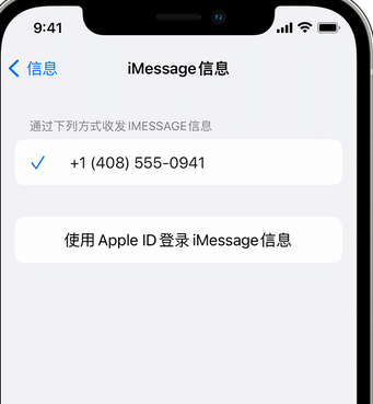 弓长岭apple维修iPhone上无法正常发送iMessage信息 