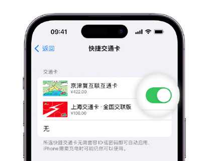 弓长岭apple维修点分享iPhone上更换Apple Pay快捷交通卡手绘卡面 