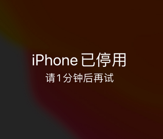 弓长岭苹果手机维修分享:iPhone 显示“不可用”或“已停用”怎么办？还能保留数据吗？ 