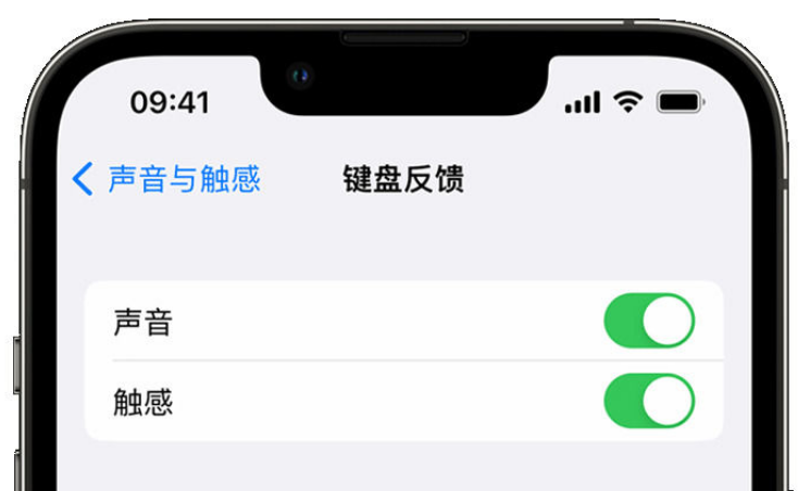 弓长岭苹果手机维修分享iPhone 14触感键盘使用方法 