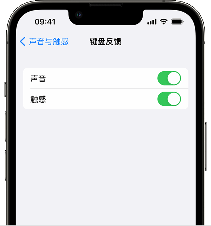 弓长岭苹果14维修店分享如何在 iPhone 14 机型中使用触感键盘 