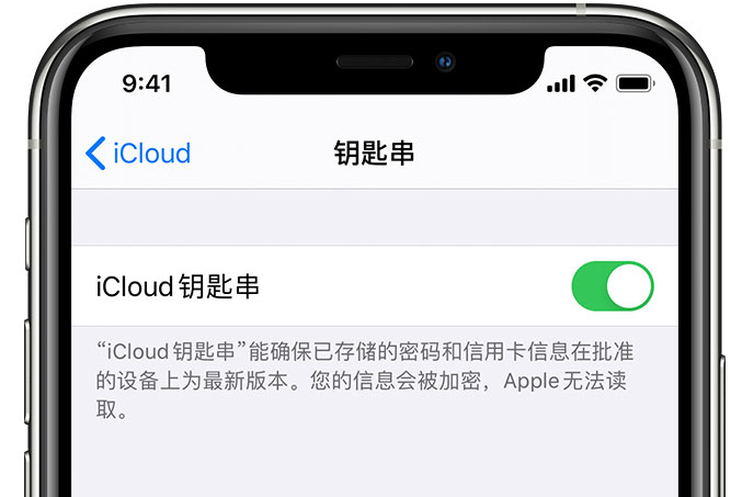 弓长岭苹果手机维修分享在 iPhone 上开启 iCloud 钥匙串之后会储存哪些信息 