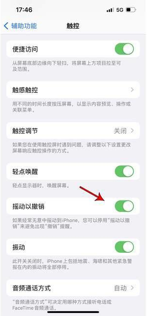 弓长岭苹果手机维修分享iPhone手机如何设置摇一摇删除文字 