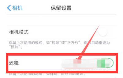 弓长岭苹果13维修分享iPhone13拍照有绿点是怎么回事 