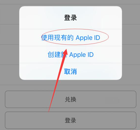 弓长岭苹果手机维修分享两台iPhone设备可以同时登录一个Apple ID吗 
