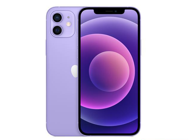 弓长岭苹果手机维修分享现阶段要不要入手紫色版iPhone12 